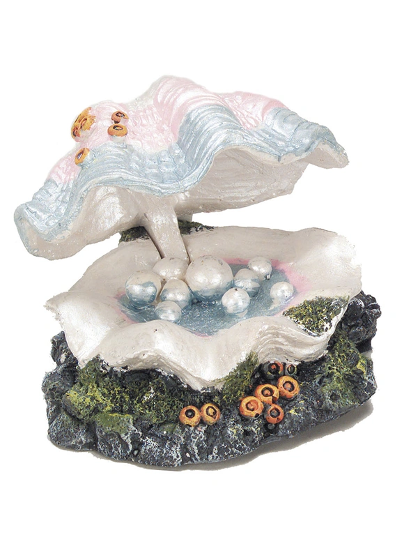 AQUA DELLA Shell