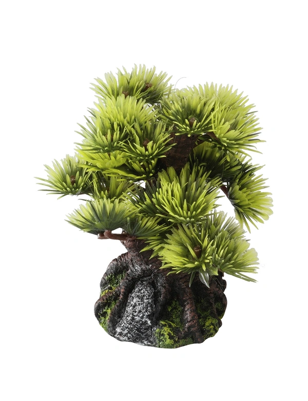 AQUA DELLA Bonsai Sort