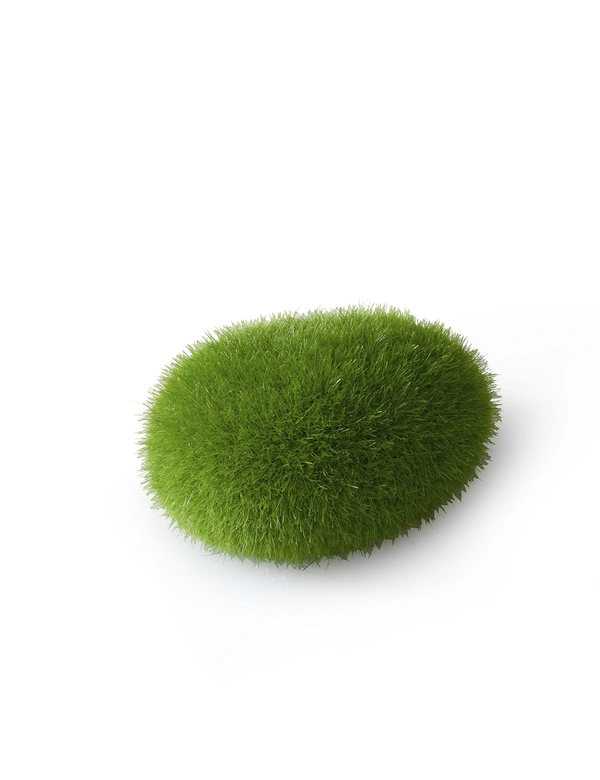 AQUA DELLA Moss Ball