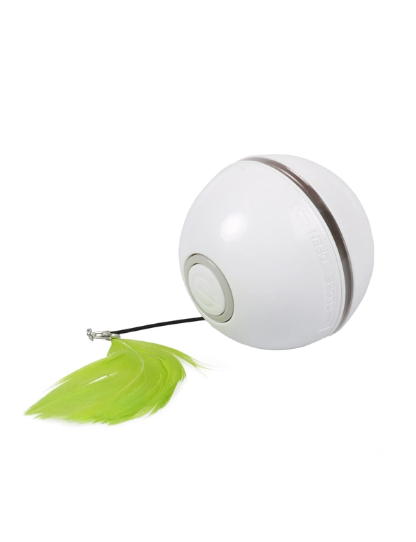 EBI Ball chaser