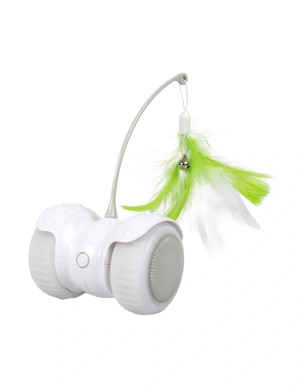 EBI RC cat chaser