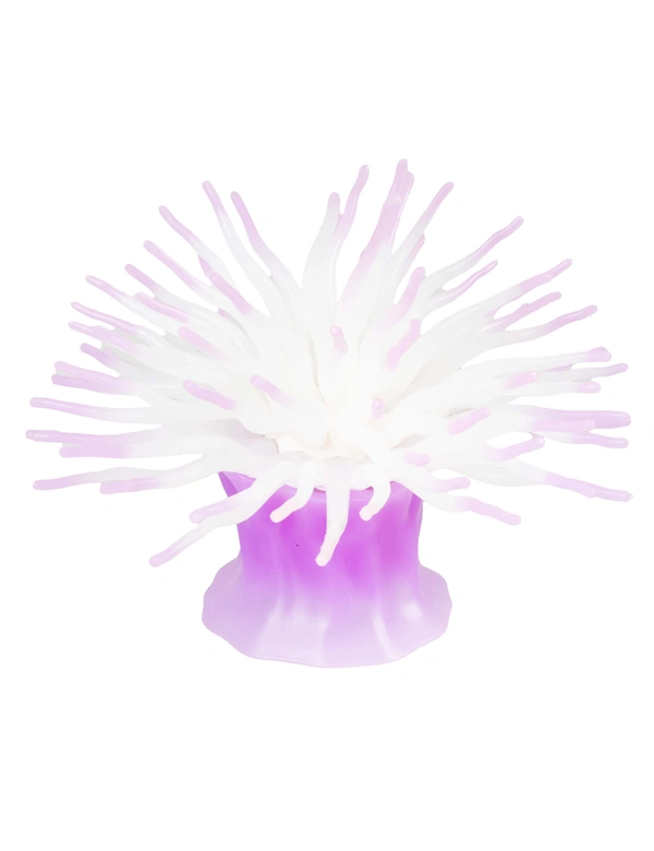 AQUA DELLA Anemone mit Saugnapf