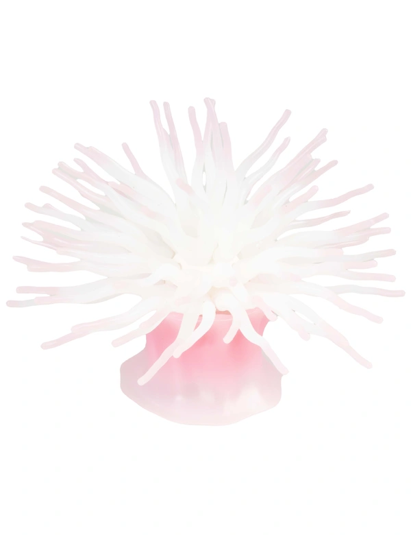 AQUA DELLA Anemone mit Saugnapf