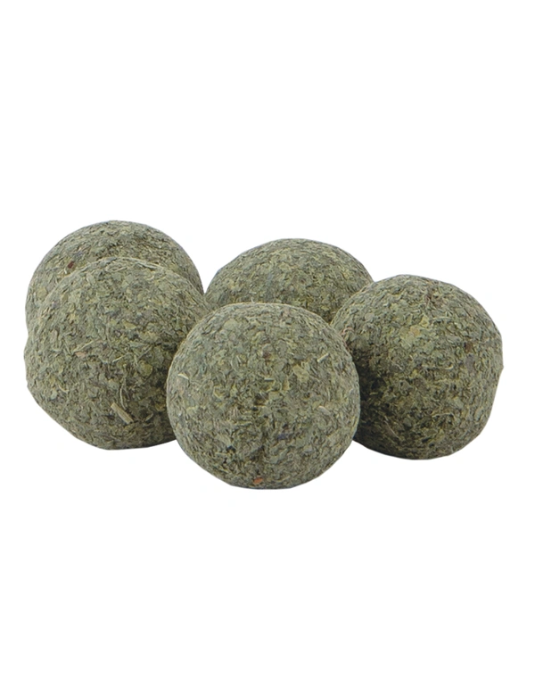 Petlando Earthcat Catnip