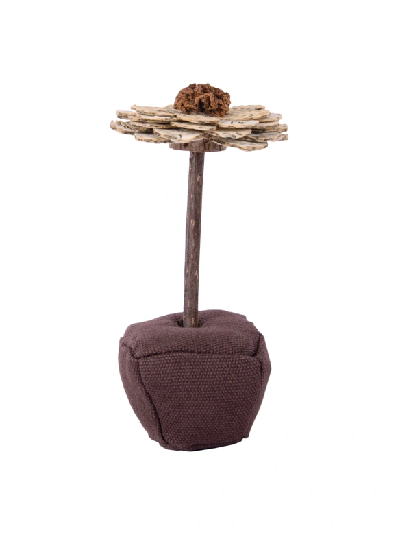 Petlando Earthcat Catnip