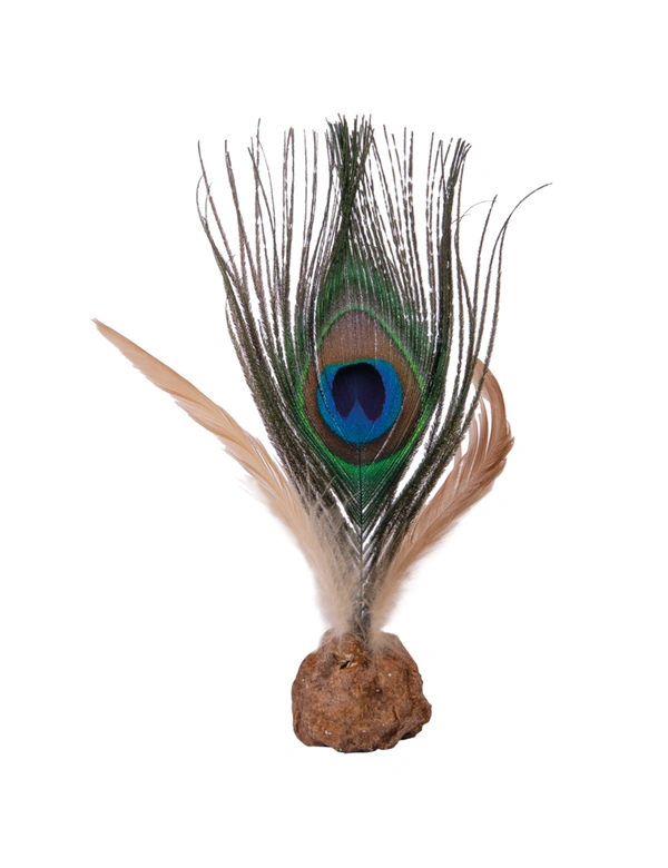 Petlando Earthcat Silverline