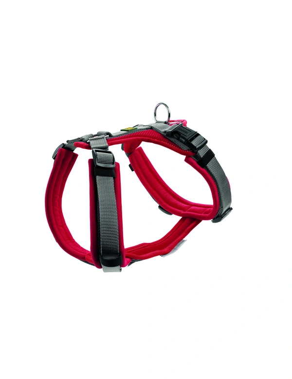HUNTER Hundegeschirr Maldon Up