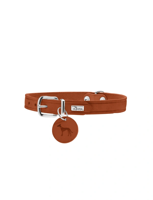 HUNTER Hundehalsband Aalborg