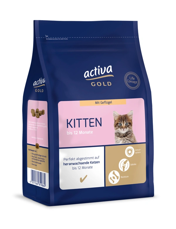 activa GOLD Kitten