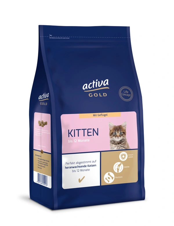 activa GOLD Kitten