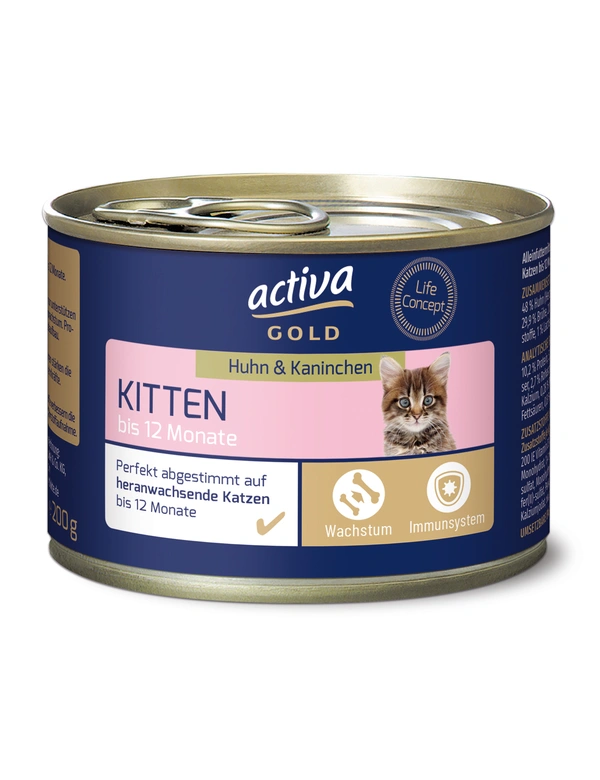 activa GOLD Kitten