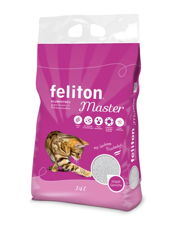 feliton Master