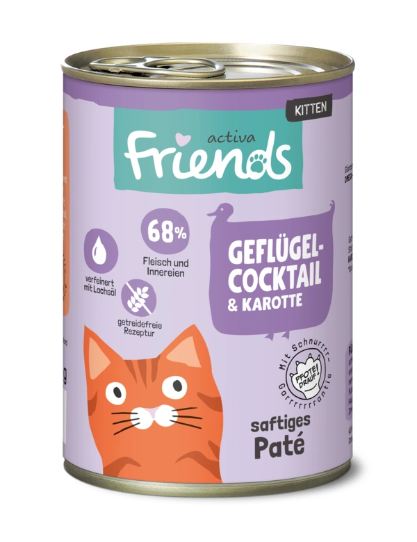 activa Friends Kitten