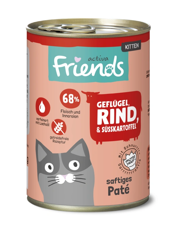 activa Friends Kitten