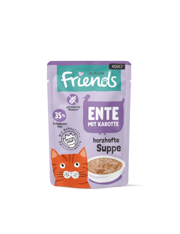 activa Friends herzhafte Suppe