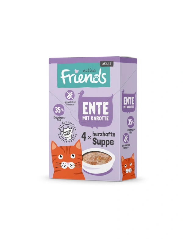 activa Friends herzhafte Suppe