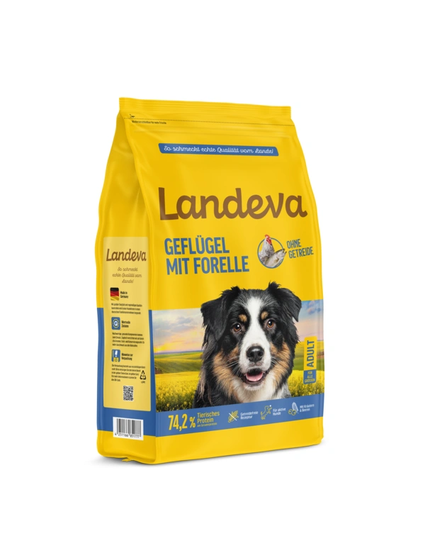 Landeva Large Adult