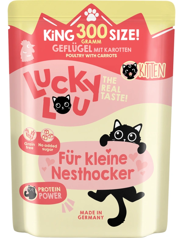 Lucky Lou Kitten