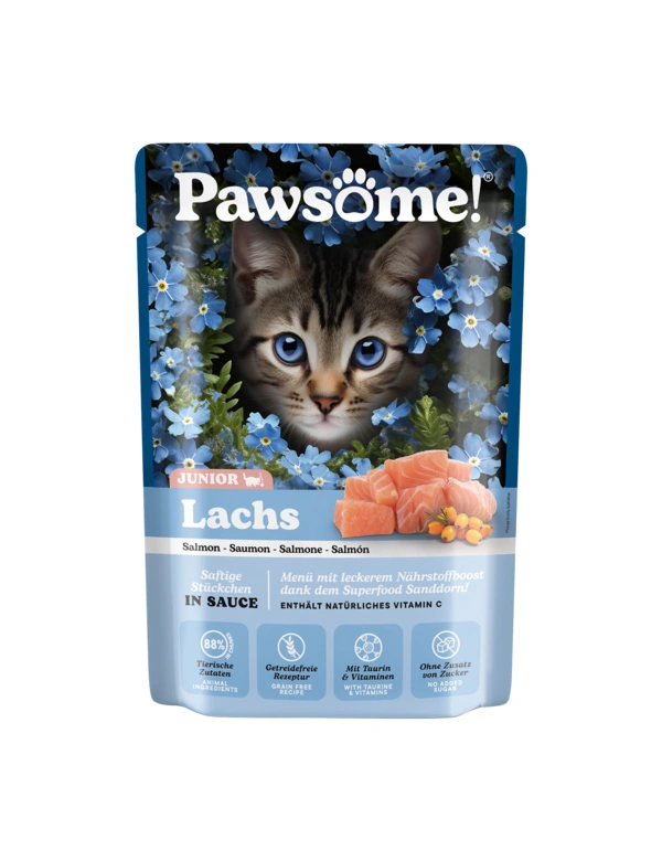Pawsome! Kitten