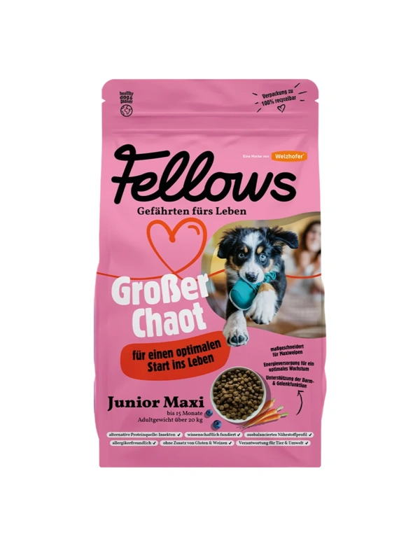 Fellows Großer Chaot