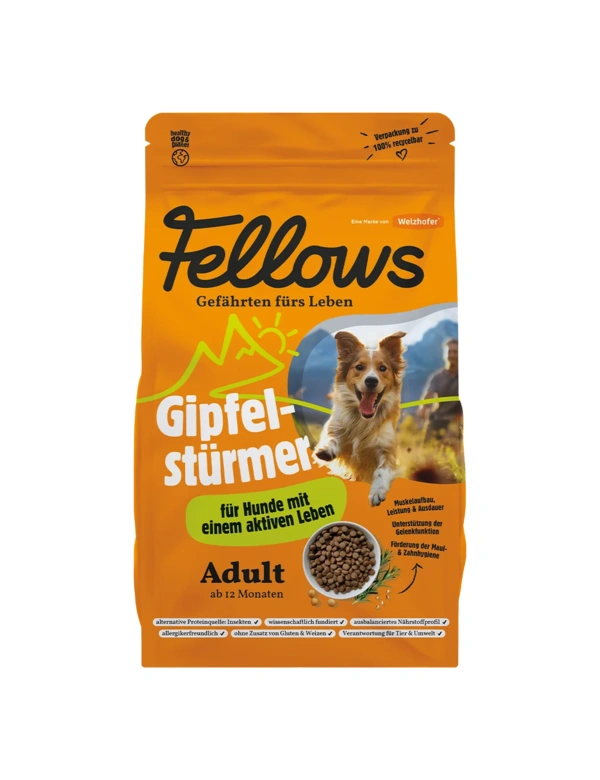 Fellows Gipfelstürmer