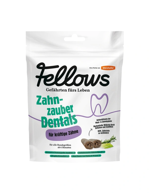 Fellows Zahnzauber Dentals
