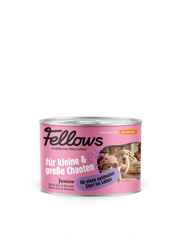 Fellows für Kleine & große Chaoten
