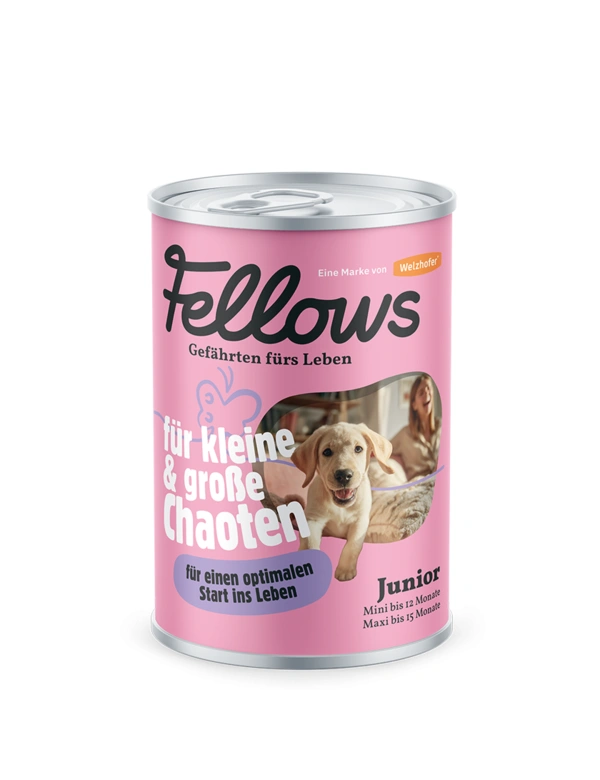 Fellows für Kleine & große Chaoten