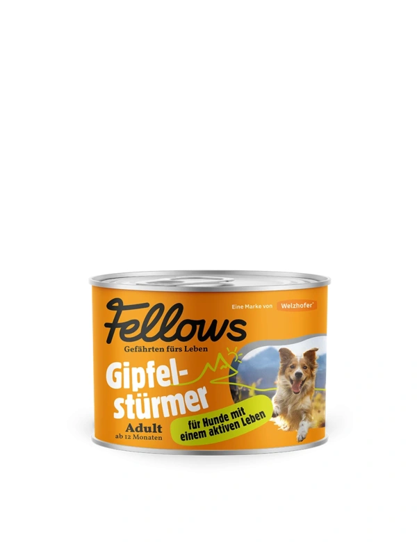 Fellows Gipfelstürmer