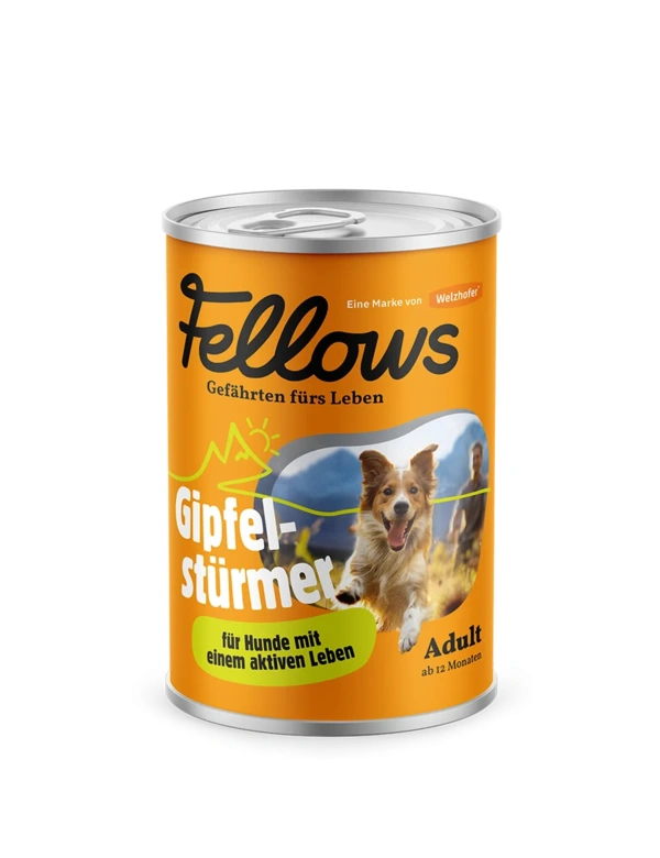Fellows Gipfelstürmer