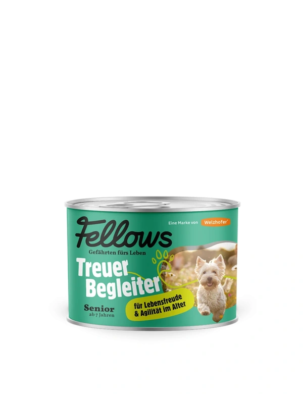 Fellows Treuer Begleiter