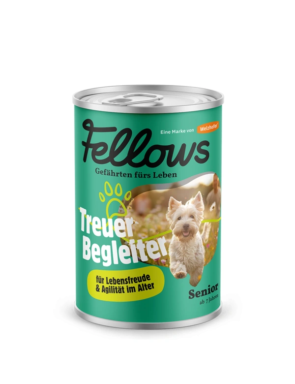 Fellows Treuer Begleiter