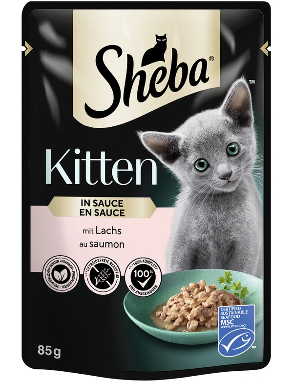 Sheba Kitten in Sauce