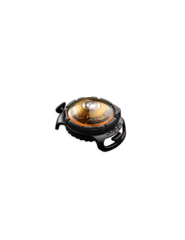orbiloc Dog Dual LED Sicherheitslicht