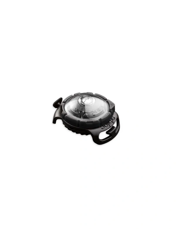 orbiloc Dog Dual LED Sicherheitslicht