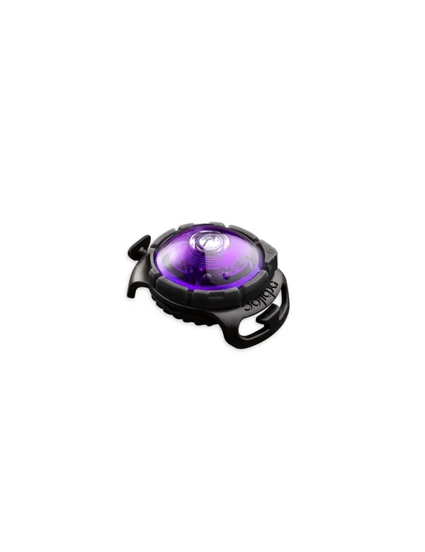 orbiloc Dog Dual LED Sicherheitslicht
