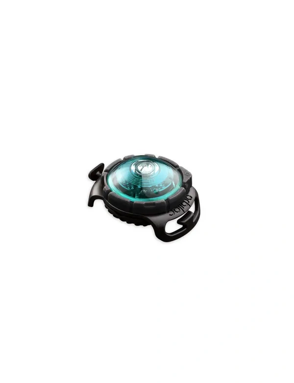 orbiloc Dog Dual LED Sicherheitslicht