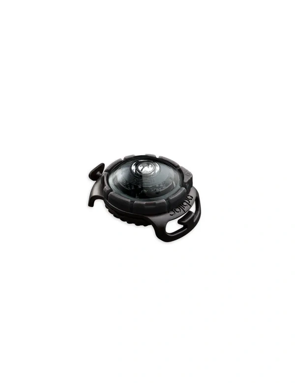 orbiloc Dog Dual LED Sicherheitslicht