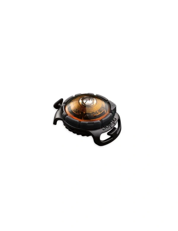 orbiloc Dog Dual LED Sicherheitslicht