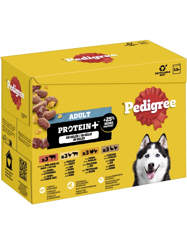 Pedigree Adult Protein+