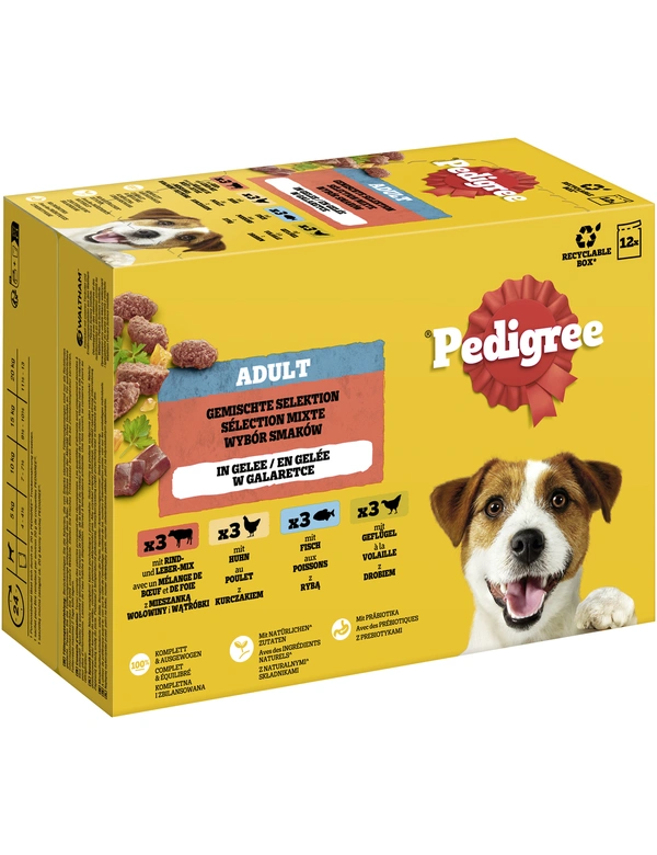 Pedigree Adult Multipack