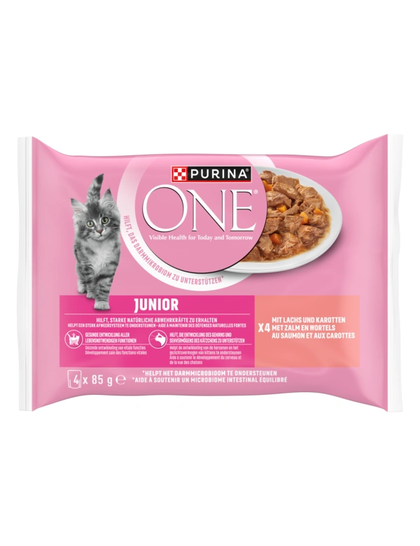 PURINA ONE Junior