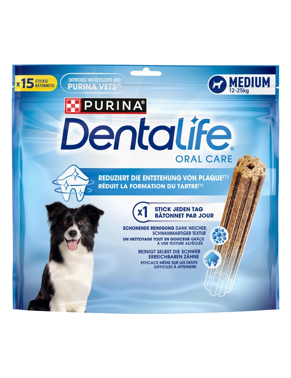 PURINA DentaLife Medium