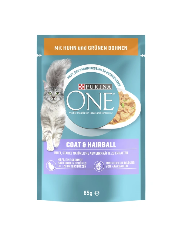 PURINA ONE Coat & Hairball