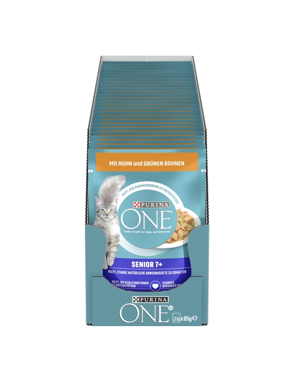 PURINA ONE Senior
