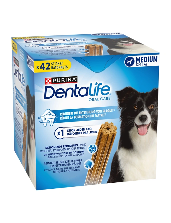 PURINA DentaLife Medium