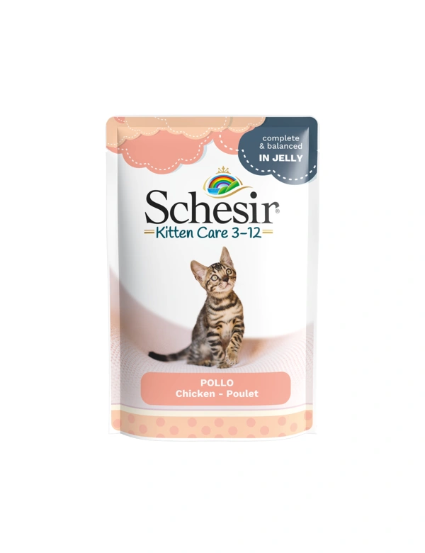 Schesir Kitten