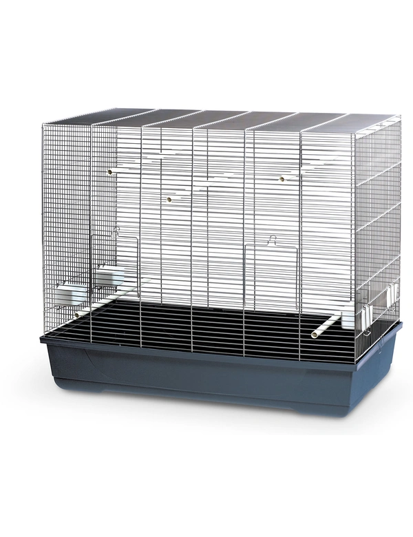 MPS Vogelheim Kloris