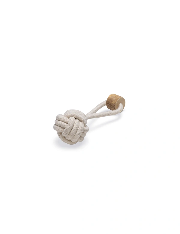 beeztees Fliegender Ball