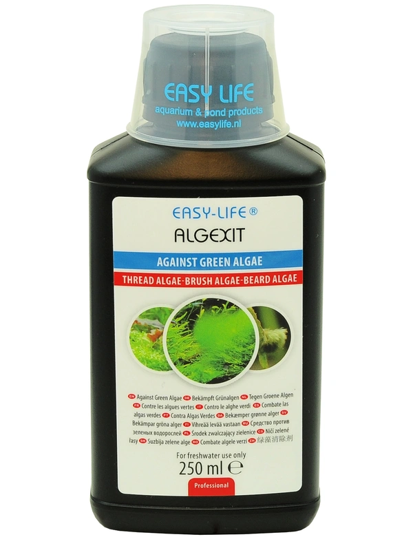Easy-Life AlgExit